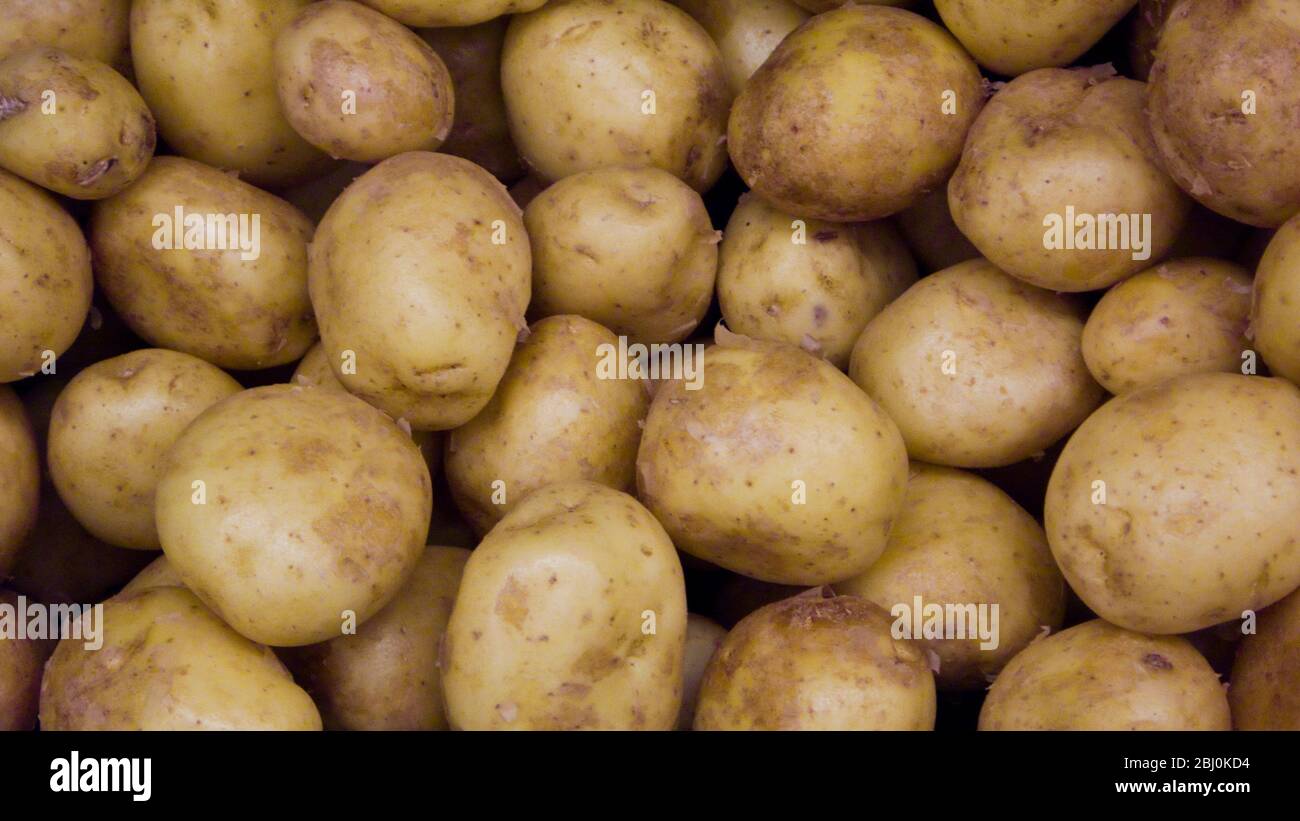 Petites pommes de terre entières. - Banque D'Images