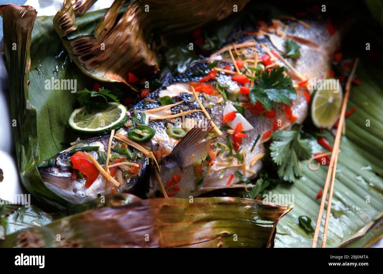 Grande bream fraîche sur les feuilles de banane, avec le poivron rouge et vert, avec des bandes de gingembre et des feuilles de coriandre hachées, avant d'être enveloppée Banque D'Images