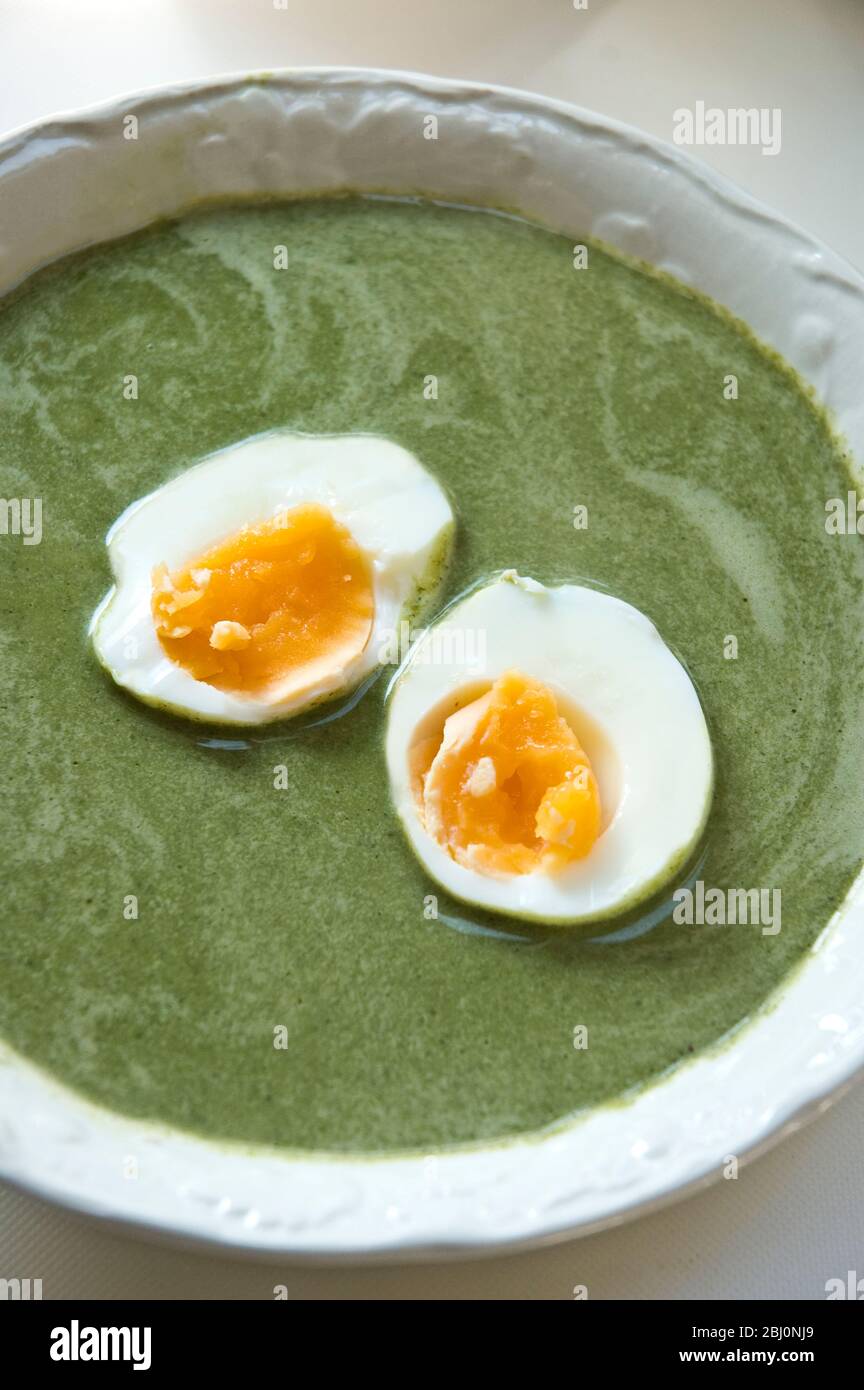 Soupe traditionnelle suédoise au printemps faite de bouilloires et de