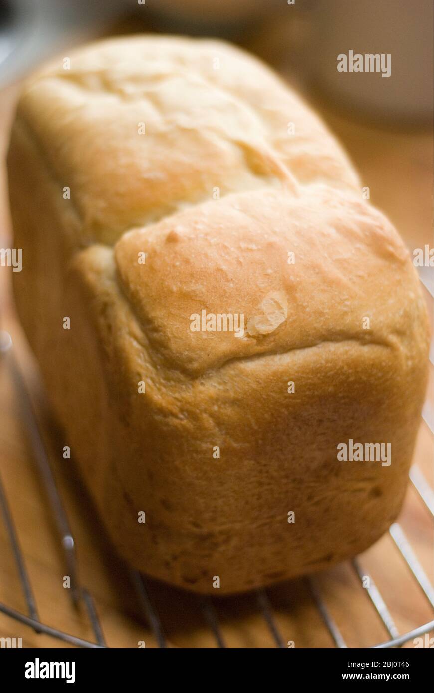 Refroidissement du rack de pain blanc fraîchement cuit sur grille métallique - Banque D'Images