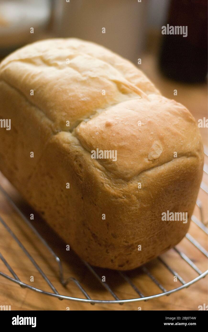 Refroidissement du rack de pain blanc fraîchement cuit sur grille métallique - Banque D'Images