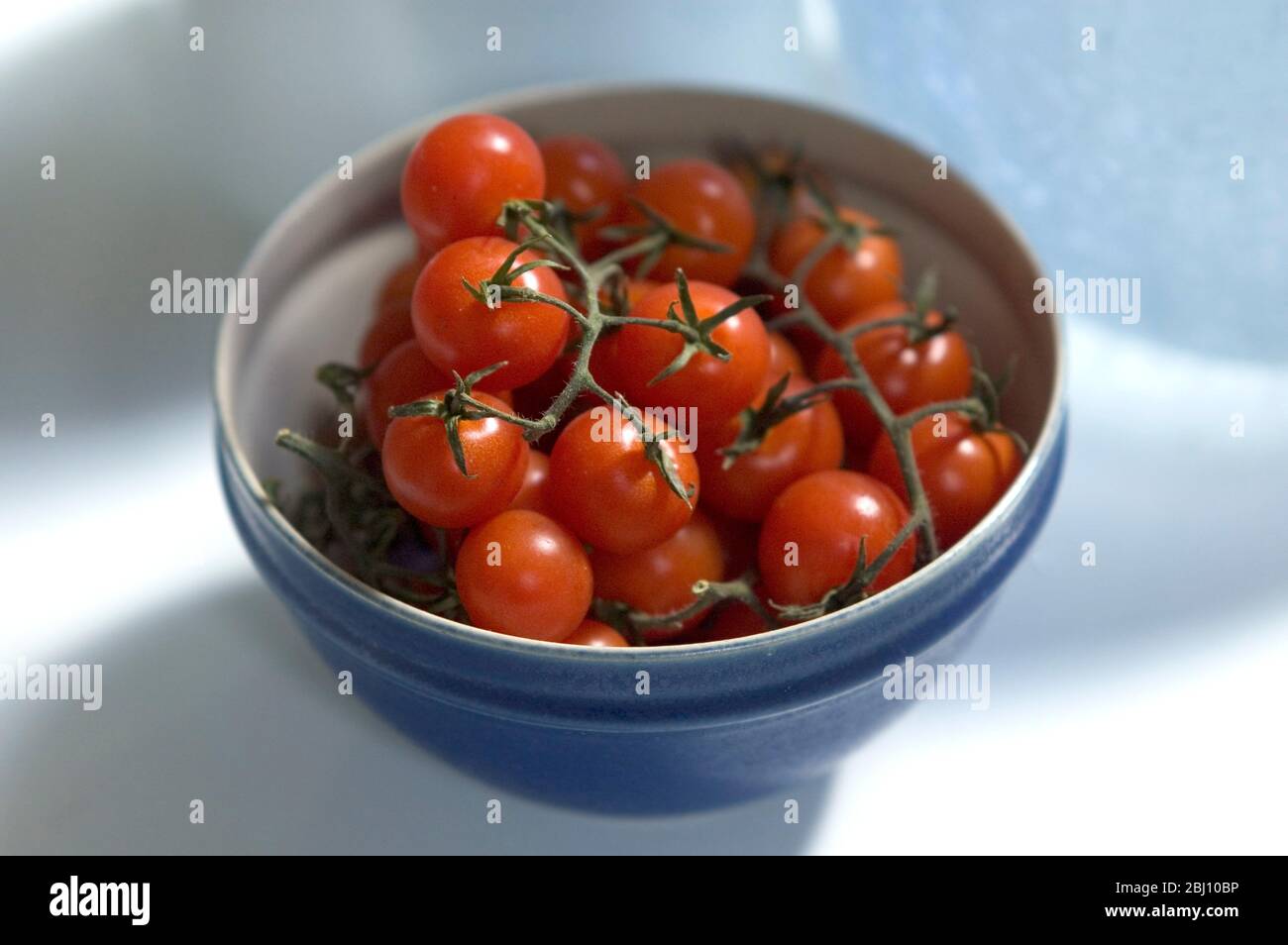 Petites tomates cerises sur la vigne dans un bol en céramique bleu - Banque D'Images