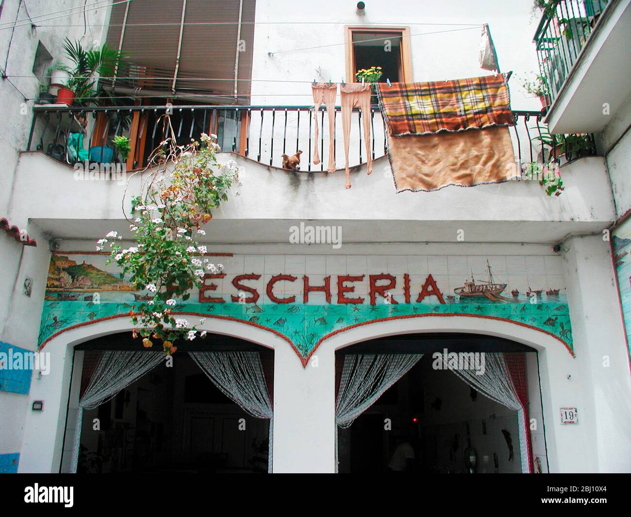 Façade carrelée de la boutique de poissons à Amalfi, Italie avec balcon au-dessus avec collants et séchage à laver et chien regardant dehors - Banque D'Images