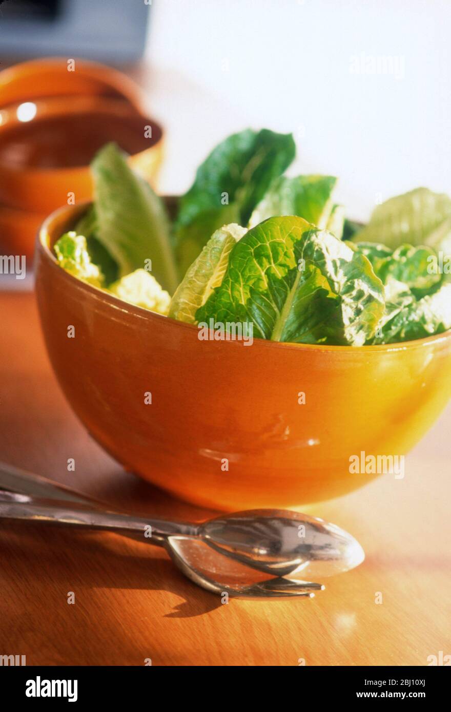 Salade verte fraîche dans un bol en émail jaune - Banque D'Images Salade verte fraîche dans un bol en émail jaune - Banque D'Images