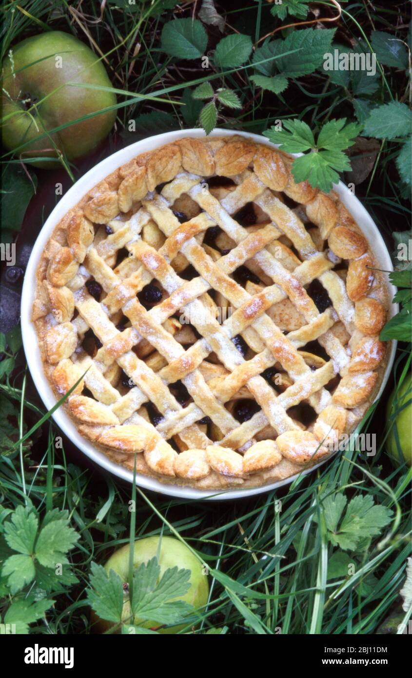 Tarte aux pommes anglaise classique avec treillis de pâtisserie et bord torsadé assis sous pommier avec pommes venfall tout autour - Banque D'Images