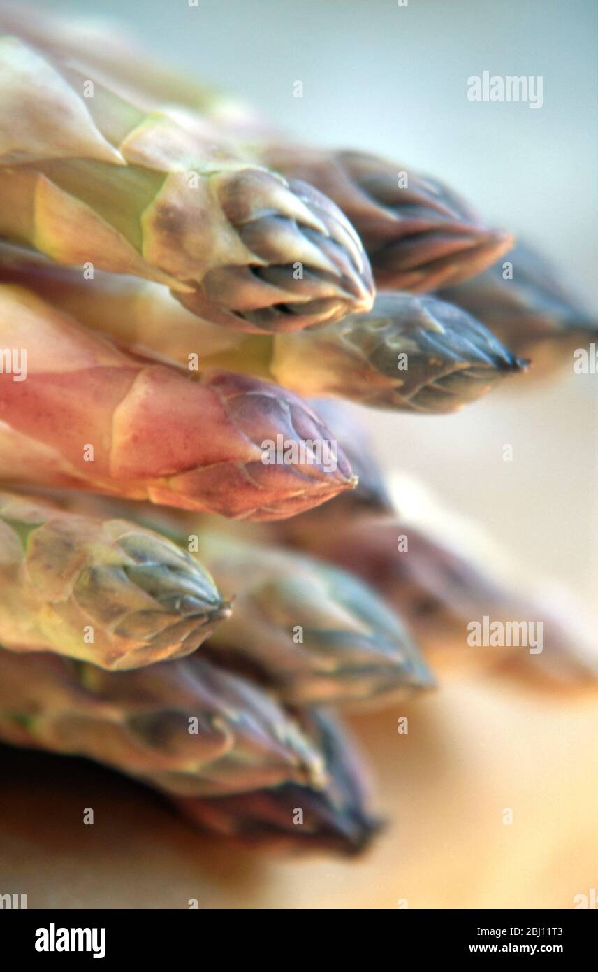 Gros plan d'asperges blanchies montrant des pointes - Banque D'Images