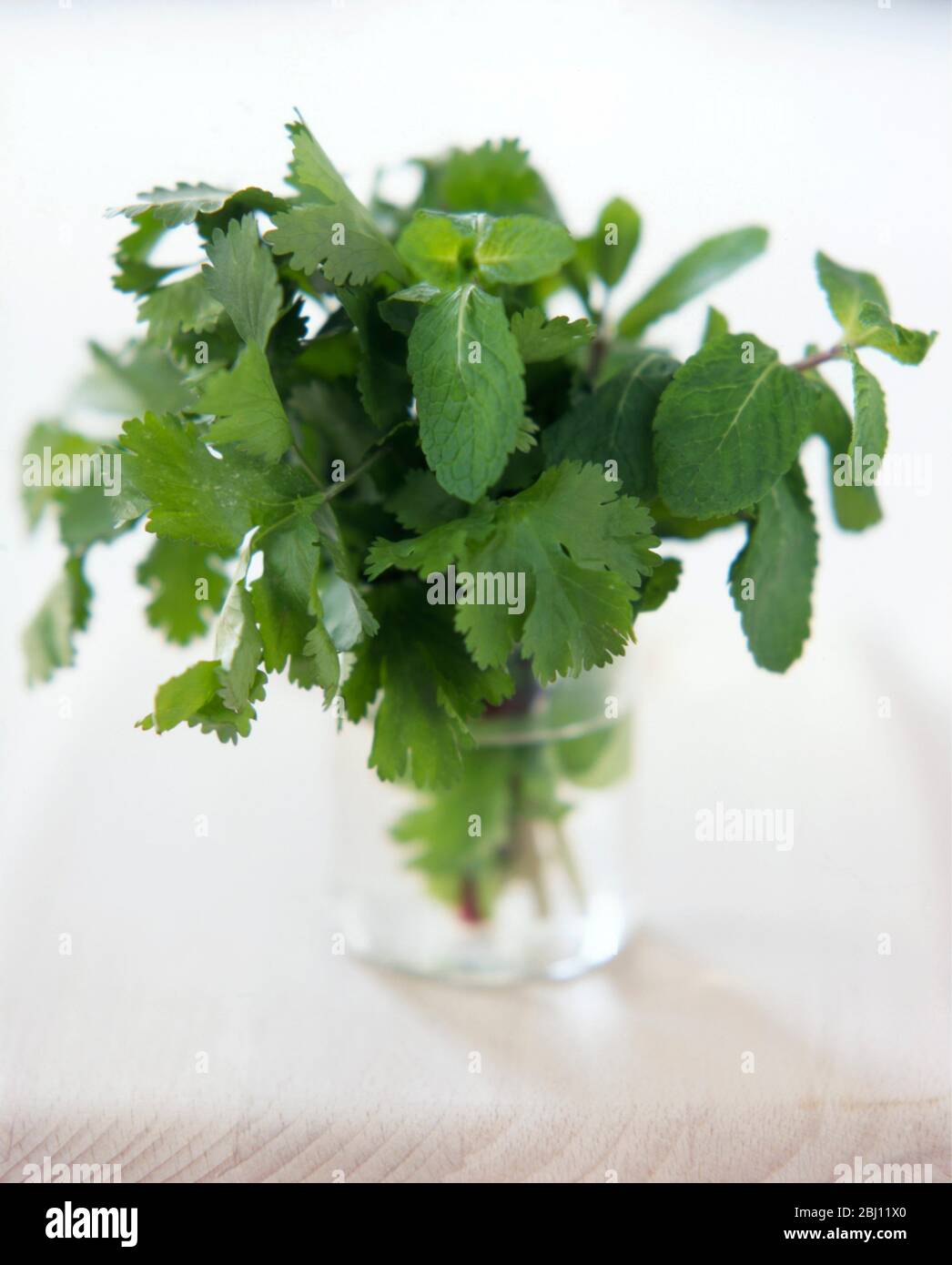 Bouquet d'herbes fraîches dans un verre d'eau - Banque D'Images