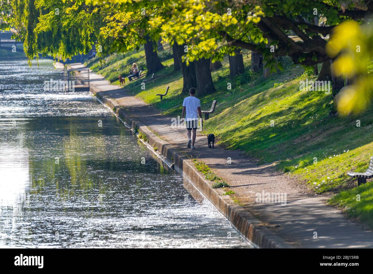 Marcheurs pour chiens sur un sentier côté canal Banque D'Images