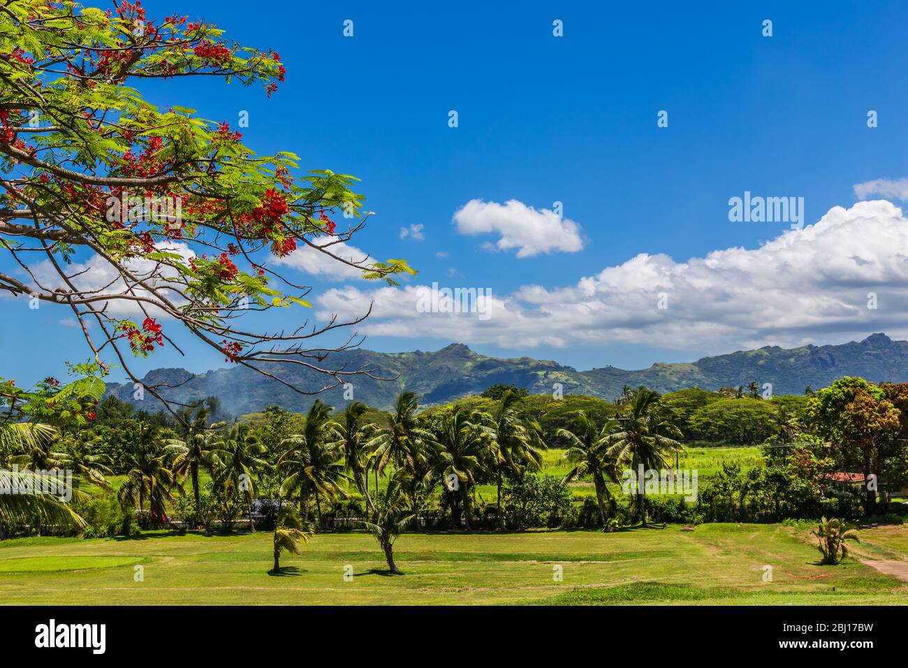 Vue sur les palmiers avec les montagnes Géantes en arrière-plan. Banque D'Images