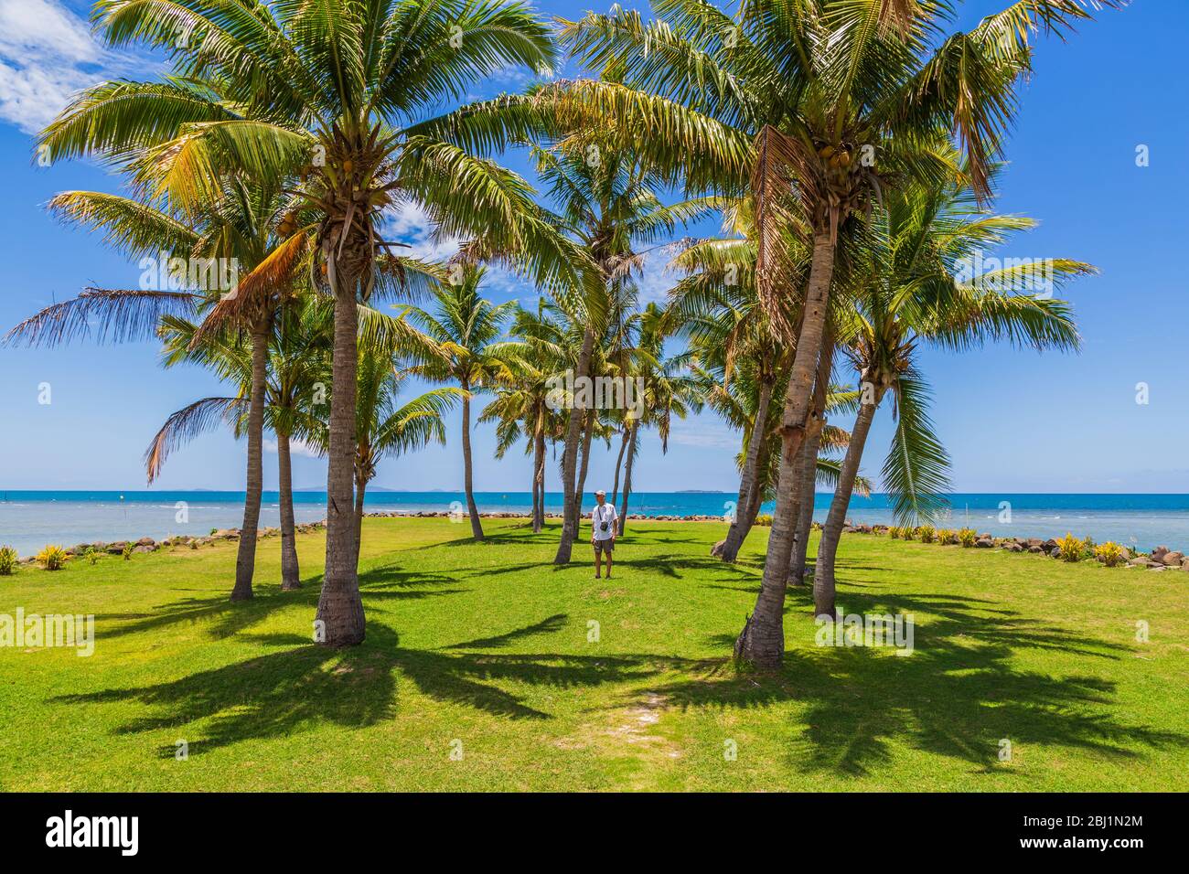 Touristes âgés se tenant parmi les palmiers à côté de la mer à Fidji. Banque D'Images