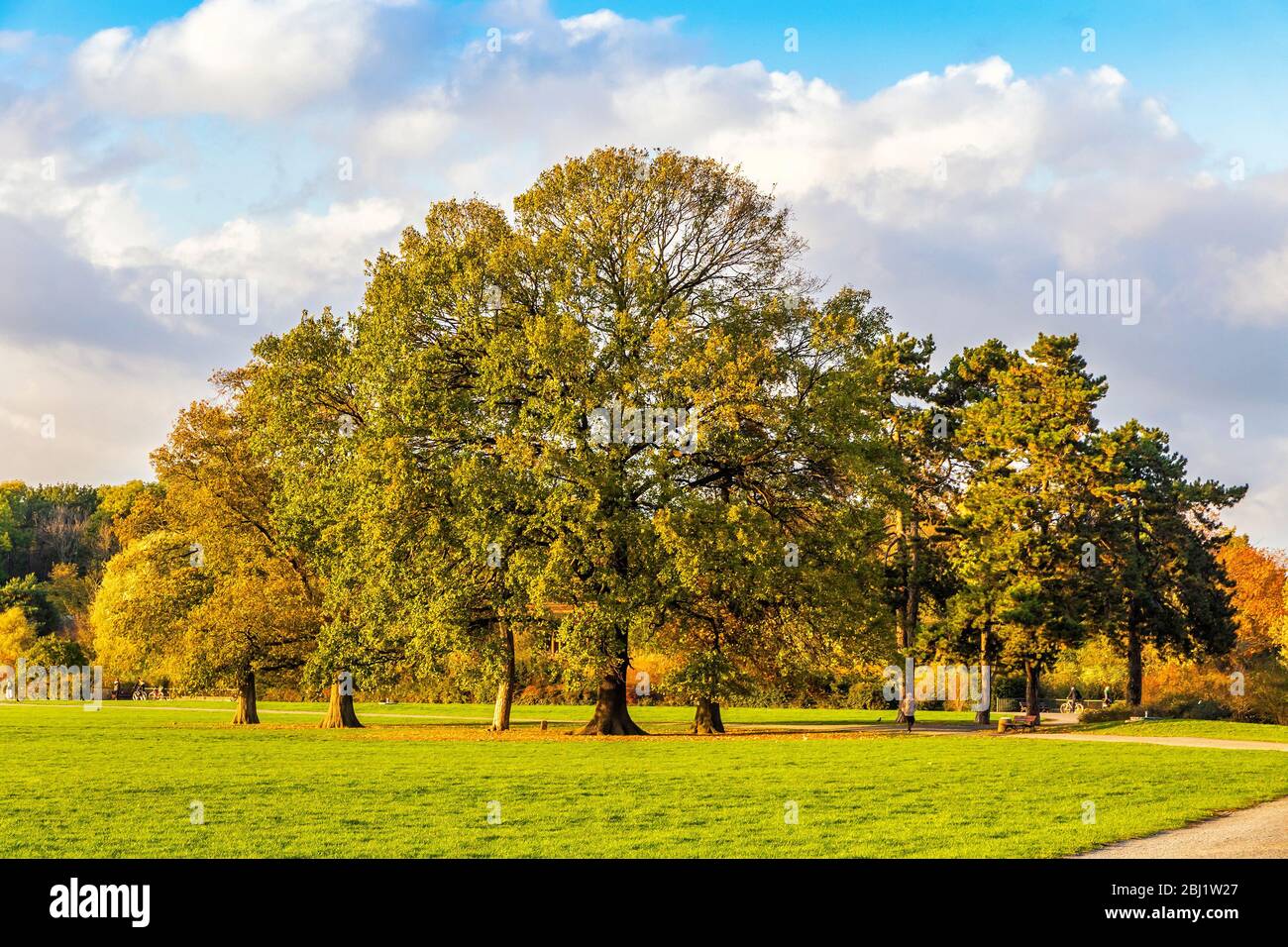 Parc forestier Rosenthal à Leipzig, Saxe, Allemagne. Situé au nord du centre historique de la ville, Rosenthal fait partie de la zone de conservation de la L Banque D'Images