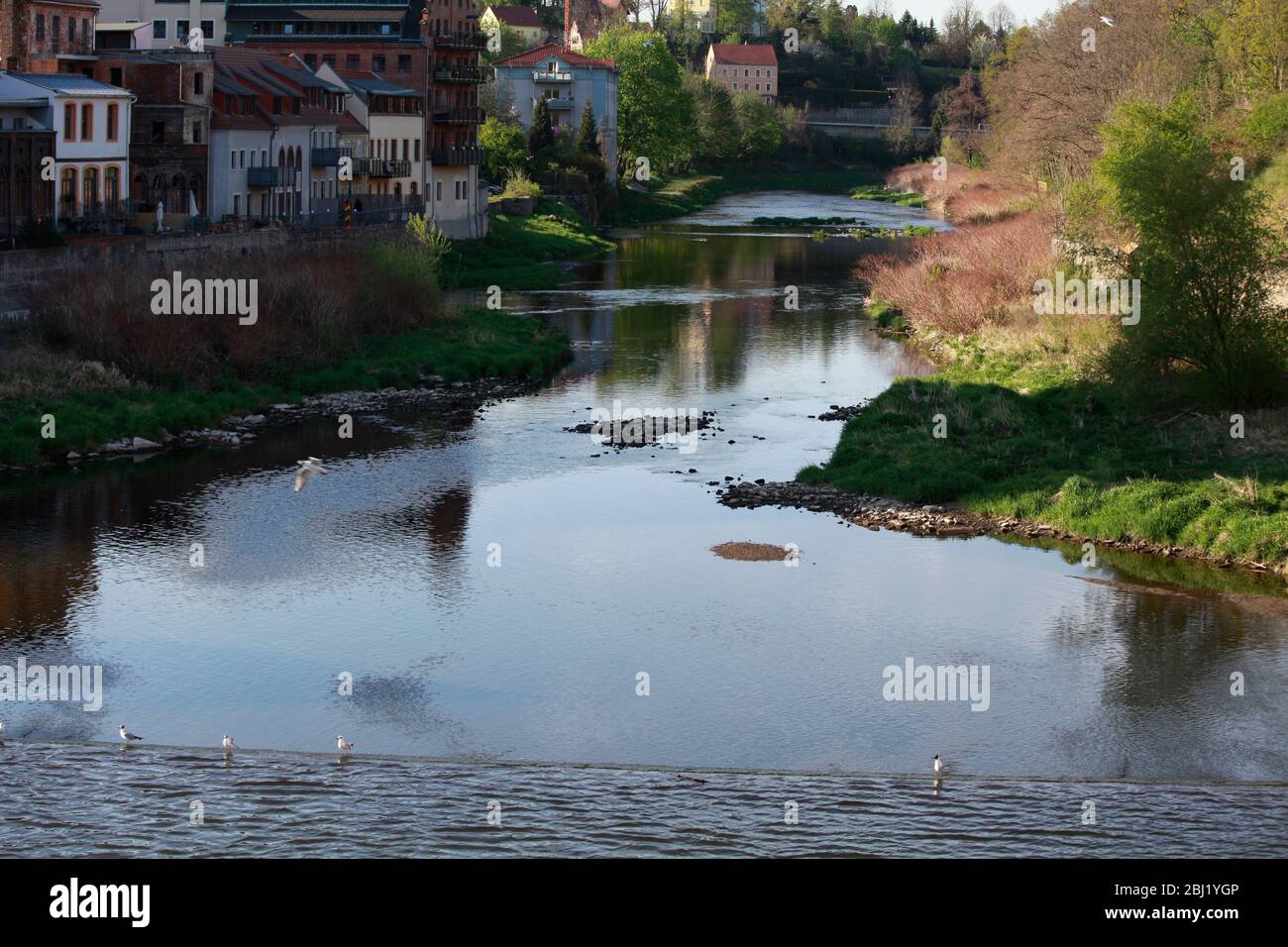 Die Neisse bei Görlitz führt Niedrigwasser, es fliesst kaum noch Wasser das Wehr herunter. Görlitz, 27.04.2020 Banque D'Images