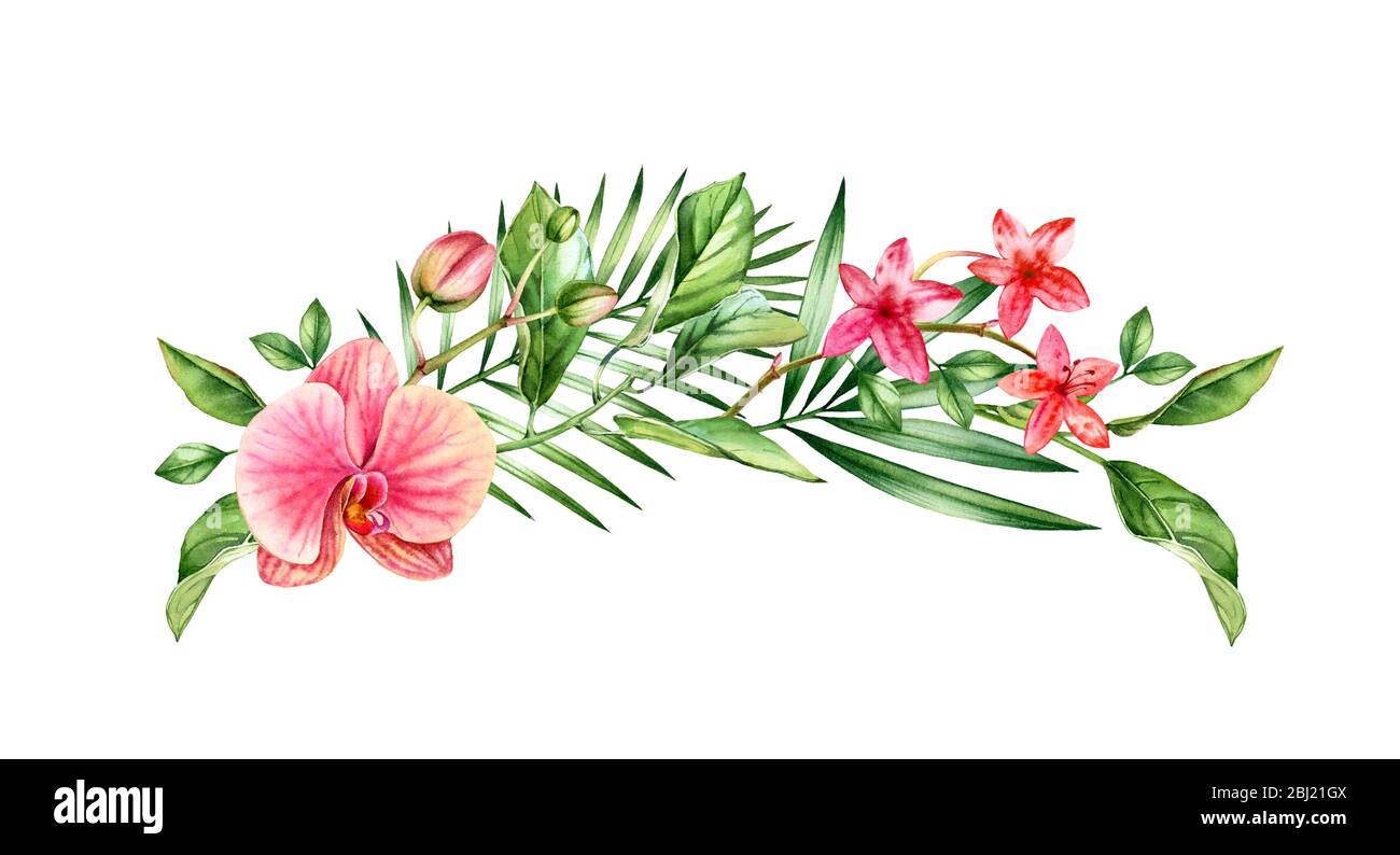 Voûte d'orchidée aquarelle. Grandes fleurs tropicales orange et rose, feuilles de palmier. Couronne fleurie peinte à la main. Illustrations botaniques isolées sur blanc Banque D'Images