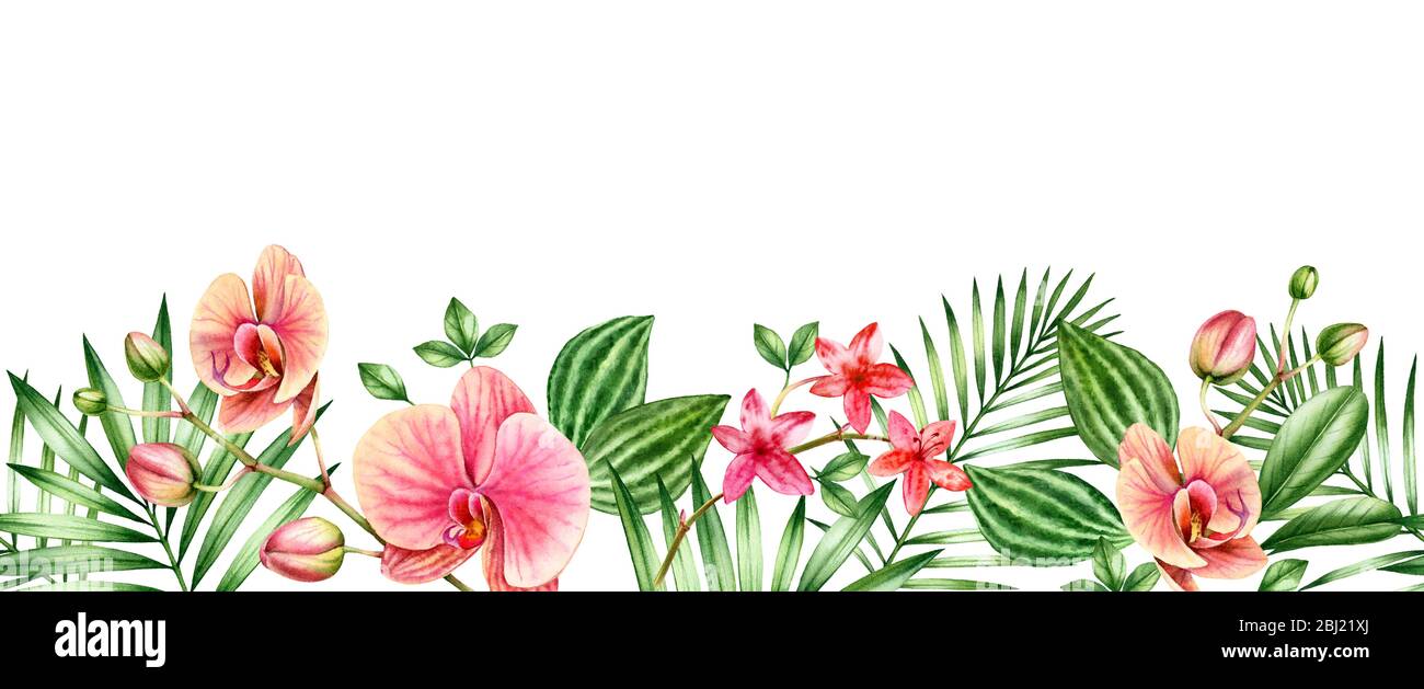 Bordure transparente à motif fleuri aquarelle. Fleurs d'orchidée, feuilles de palmier dans le motif répétitif. Fond tropical peint à la main. Illustrations botaniques Banque D'Images