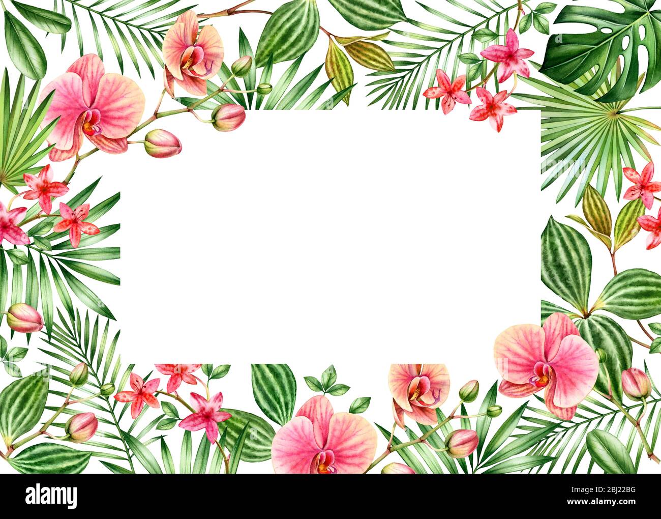 Modèle de carte fleurie aquarelle. Cadre horizontal avec emplacement pour le texte. Grandes fleurs d'orchidées orange et feuilles de palmier. Fond tropical peint à la main Banque D'Images