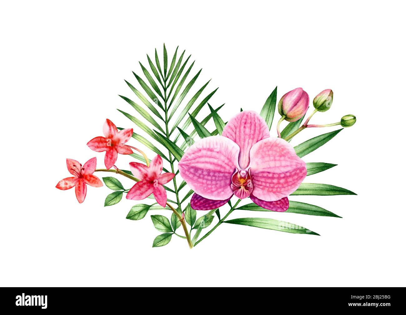 Bouquet d'orchidées aquarelle. Arrangement floral avec fleurs rouges et roses et feuilles de palmier de noix de coco. Plantes exotiques colorées isolées sur blanc. Botanique Banque D'Images