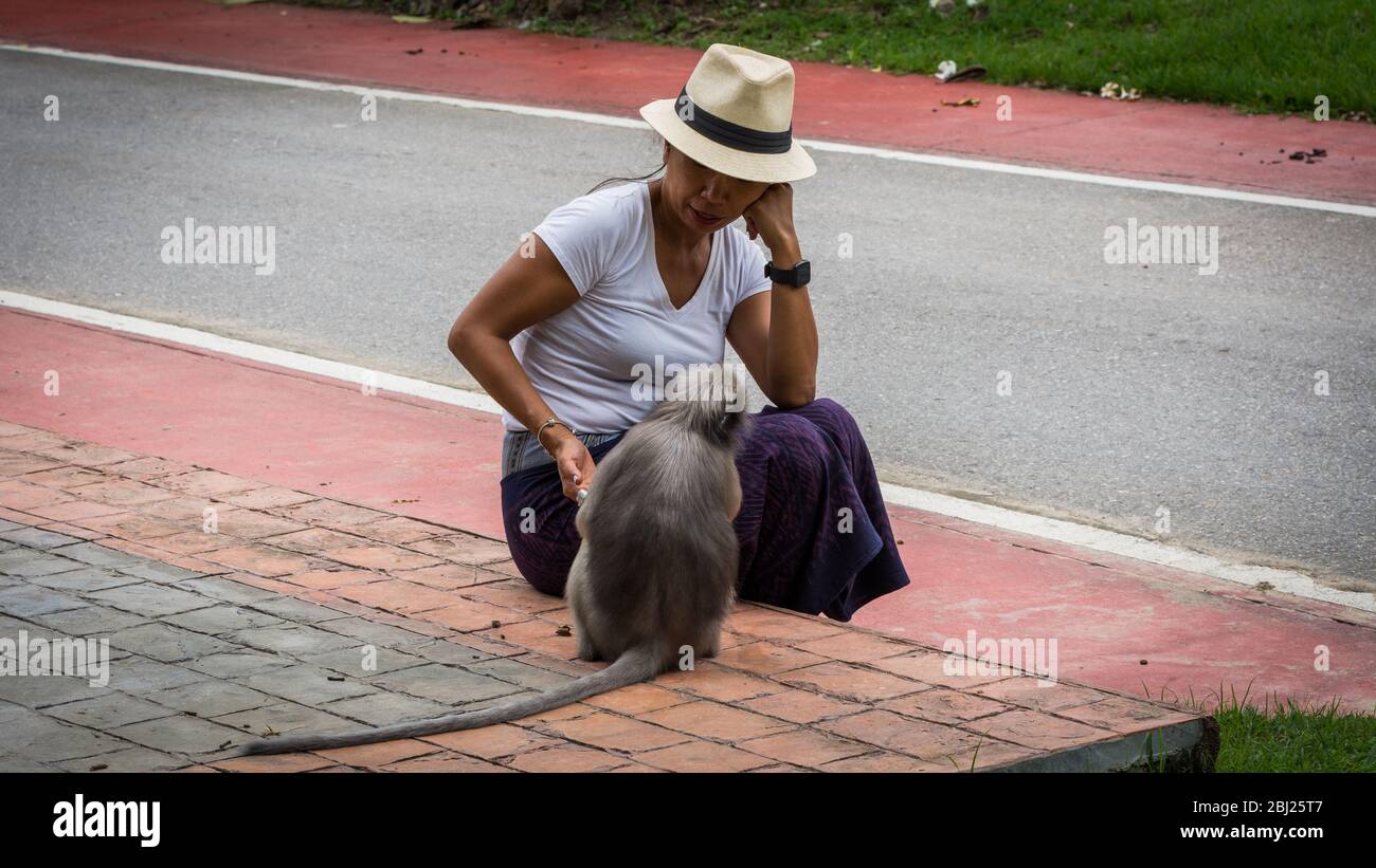 Femme thaïlandaise à sarong et fedora blanc assis sur le trottoir en regardant le singe Duskey à Khoa Lommuak Thaïlande Banque D'Images
