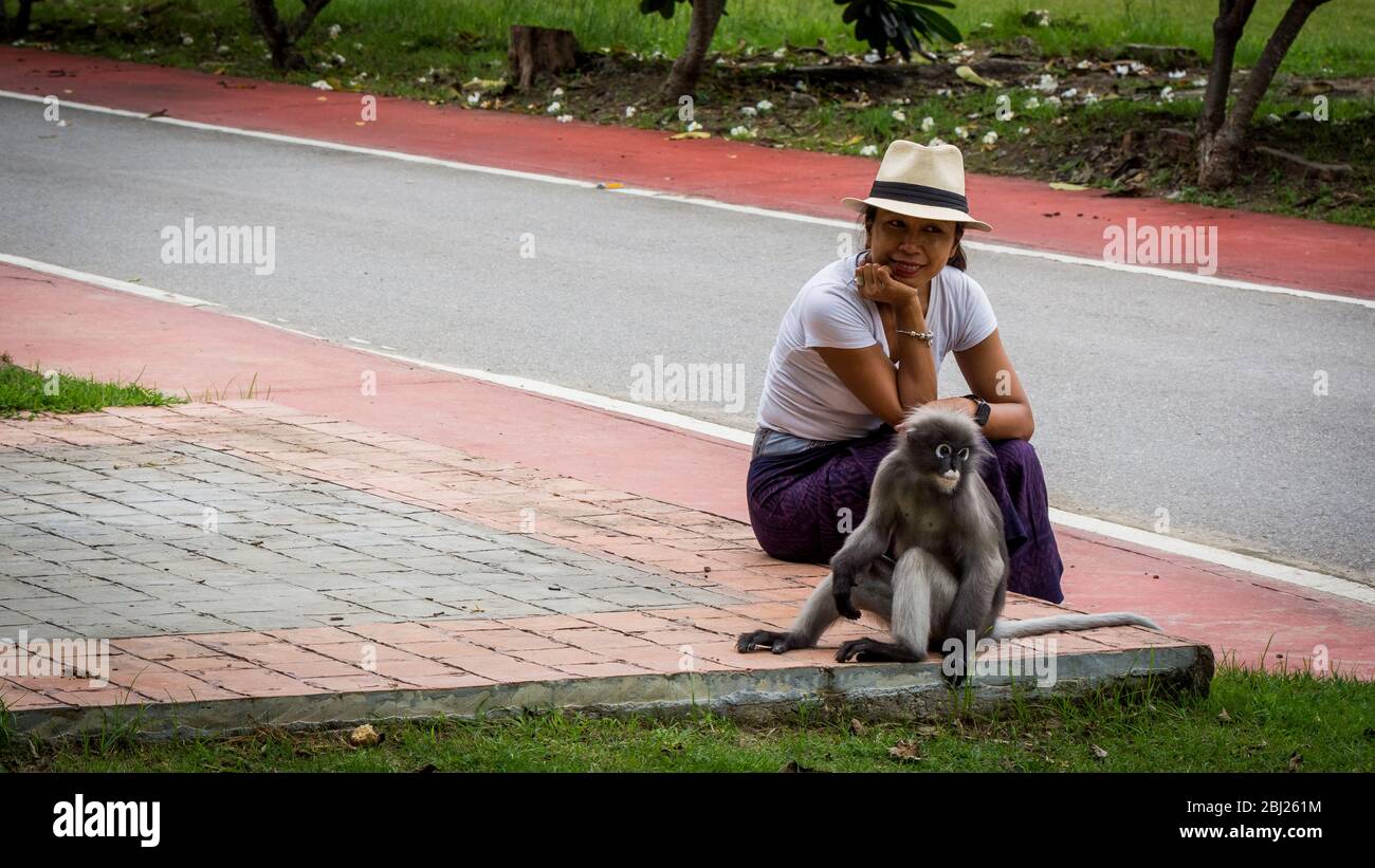 Femme thaïlandaise à sarong et fedora blanc assis sur le trottoir en regardant le singe Duskey à Khoa Lommuak Thaïlande Banque D'Images