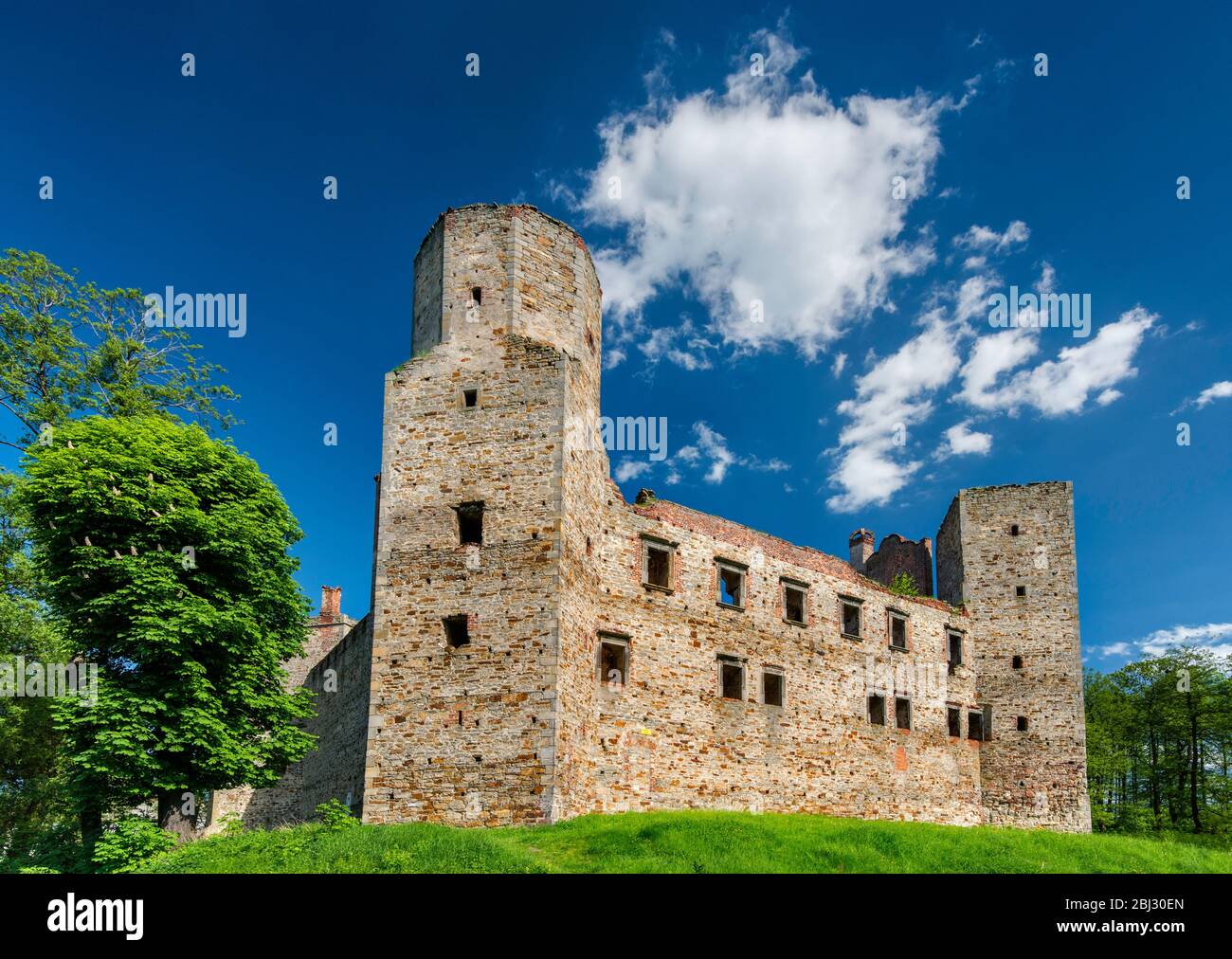 Ruines du château des évêques, 16ème siècle, dans Drzewica, Mazovie, Pologne Banque D'Images