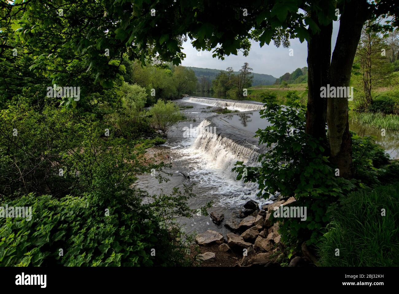 Warleigh Weir sur la rivière Avon dans le Somerset, près de Bath au printemps. Banque D'Images