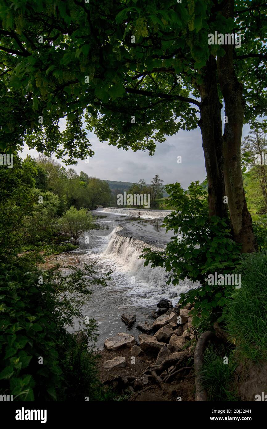 Warleigh Weir sur la rivière Avon dans le Somerset, près de Bath au printemps. Banque D'Images