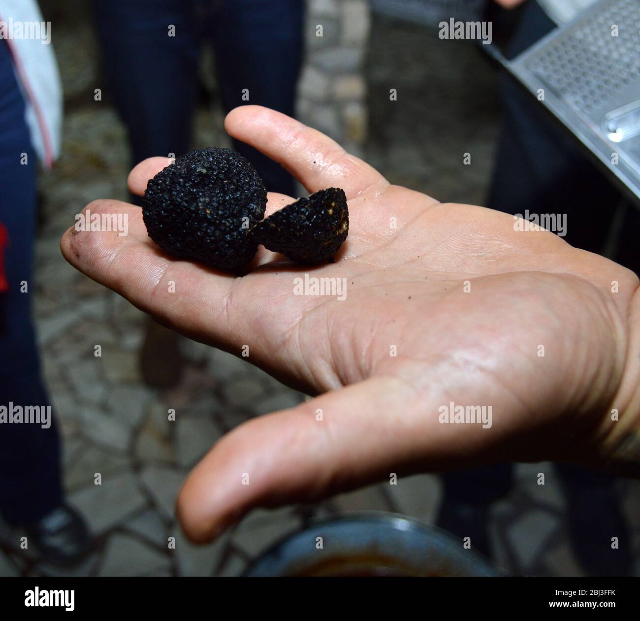 Chef mâle tenant main des truffes noires pour montrer avant de trancher et de les râper dans la recette de cuisine haut de gamme, les truffes de terre sont un déli très cher Banque D'Images