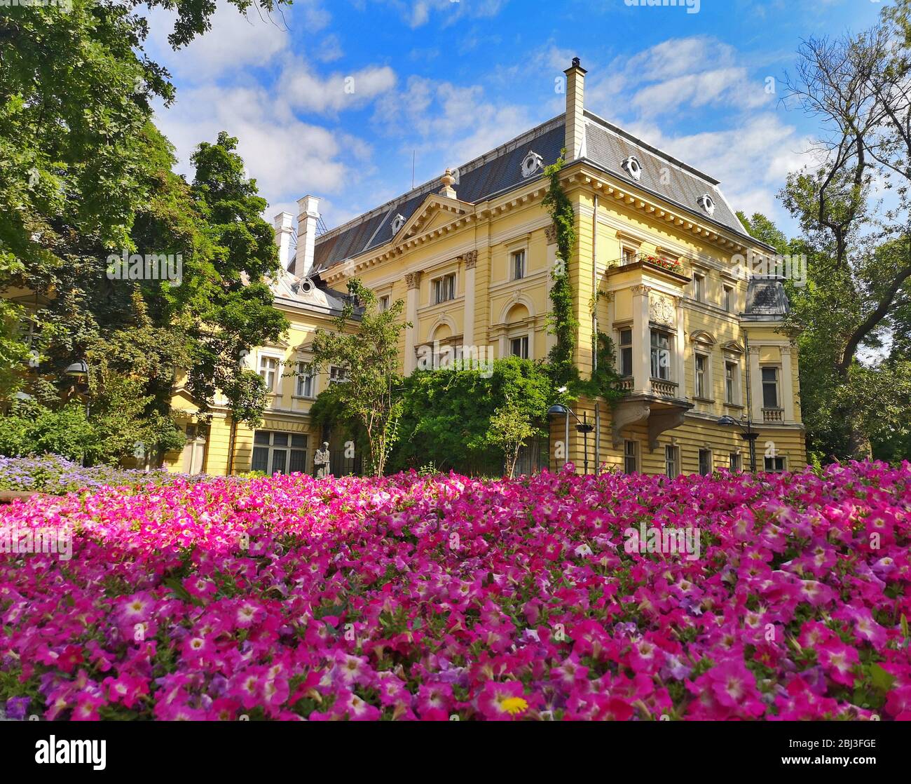 Paysage avec maison baroque jaune entouré d'arbres verts et un champ de fleurs roses fleuries au milieu de Sofia, Bulgarie Banque D'Images