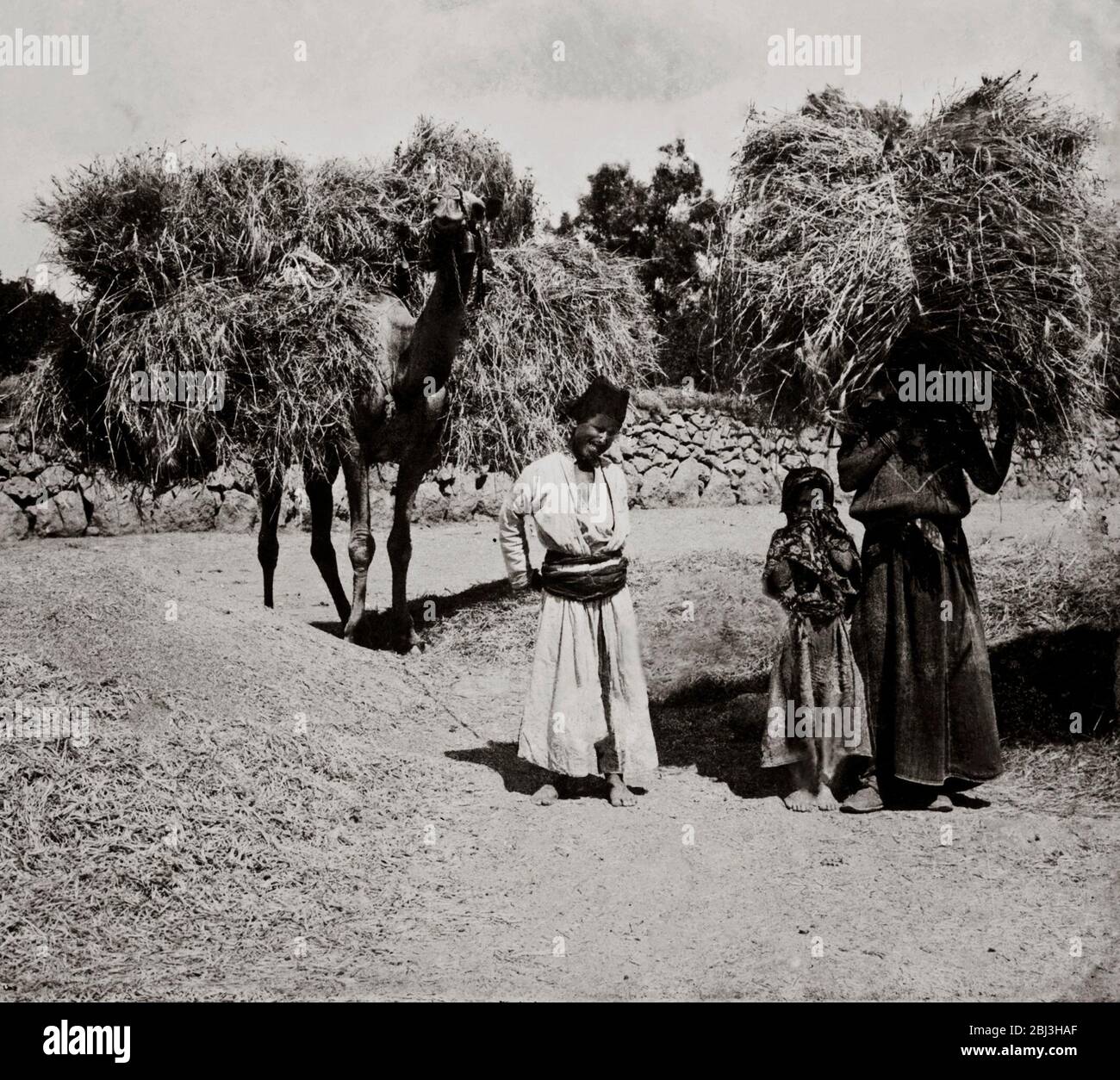 Villes et villages palestiniens du Moyen-Orient vers 1900 de la chrétienté médiévale, y compris les châteaux de Crusader et les pays méditerranéens. Les anciens villages jordaniens, égyptiens et israéliens avant la première Guerre mondiale Banque D'Images