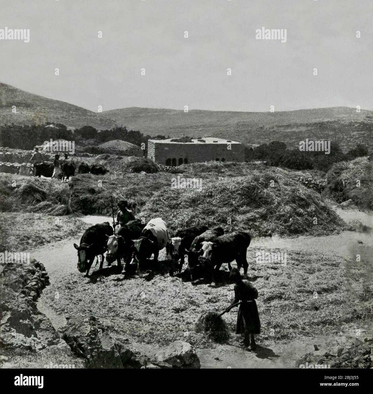 Villes et villages palestiniens du Moyen-Orient vers 1900 de la chrétienté médiévale, y compris les châteaux de Crusader et les pays méditerranéens. Les anciens villages jordaniens, égyptiens et israéliens avant la première Guerre mondiale Banque D'Images