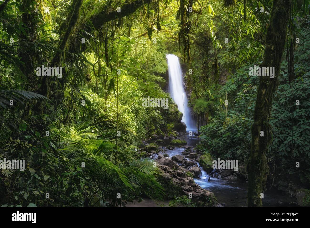 Une des cascades du Parc naturel de la Paz Gardens au Costa Rica Banque D'Images