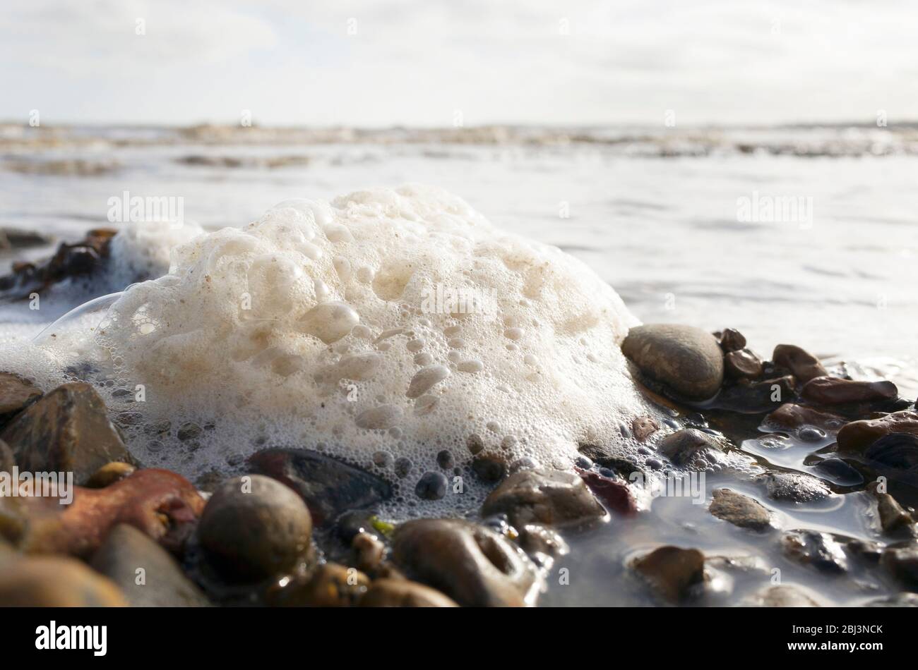 Gros plan sur une grande mousse de mer bouillonnante sur des galets avec des vagues qui s'écrasant en arrière-plan sur une plage britannique à Seasalter Kent, Angleterre Banque D'Images