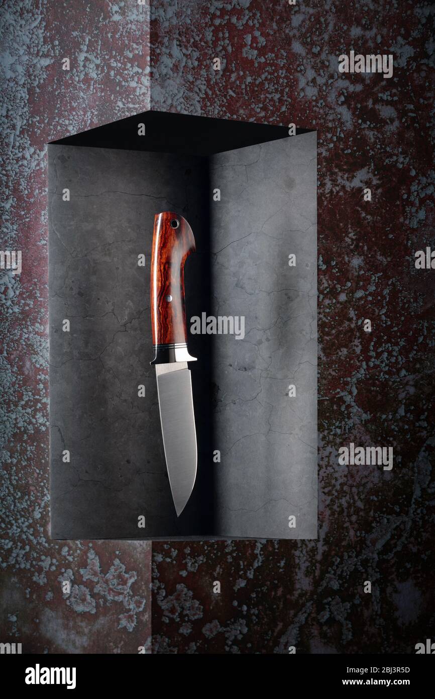 Couteau de combat Hunter. Poignée - bois de ferronnerie du désert. Espace de copie. Banque D'Images