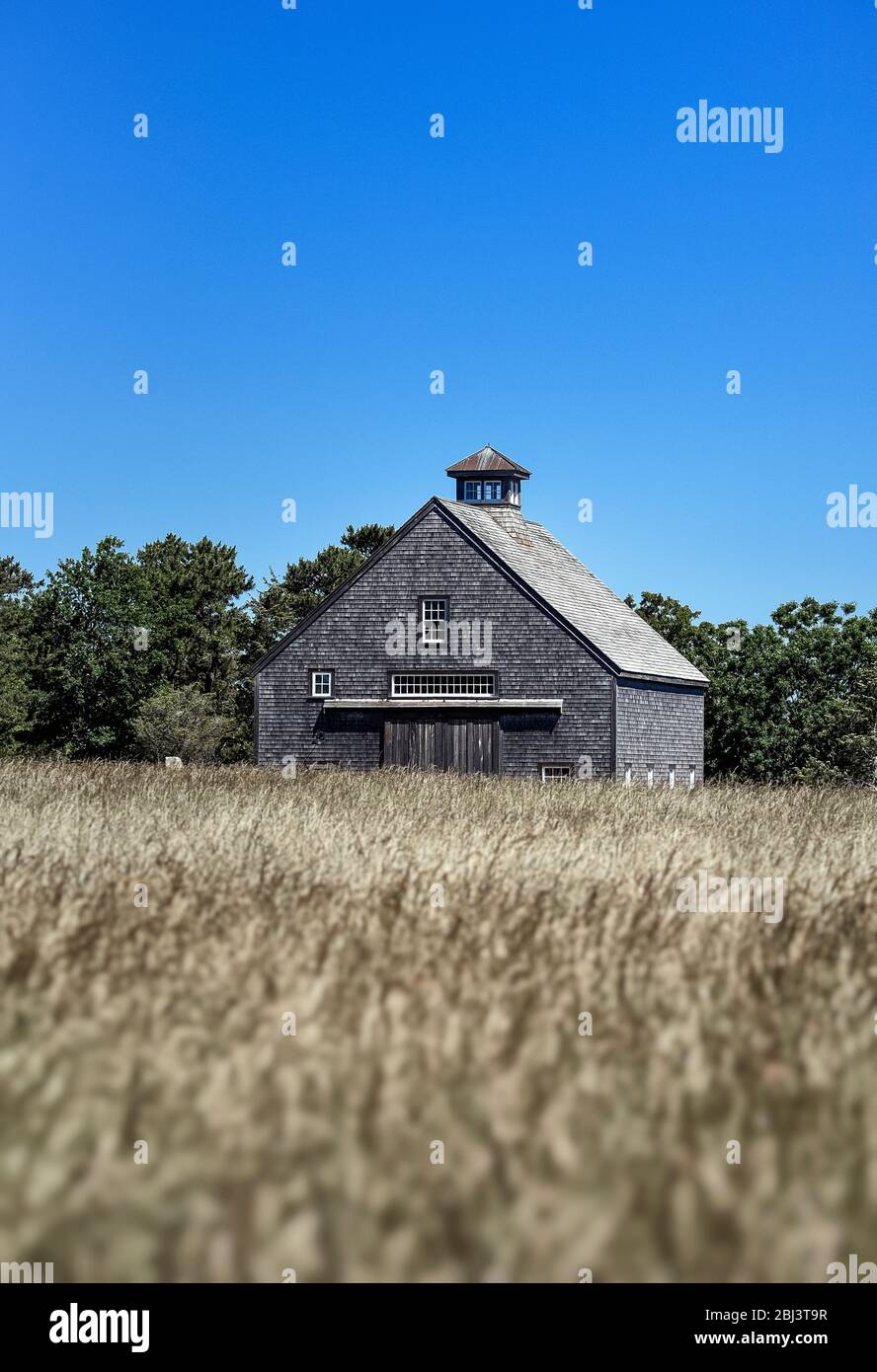 Grange rustique en bardeaux de cèdre à Dennis on Cape Cod, dans le Massachusetts. Banque D'Images