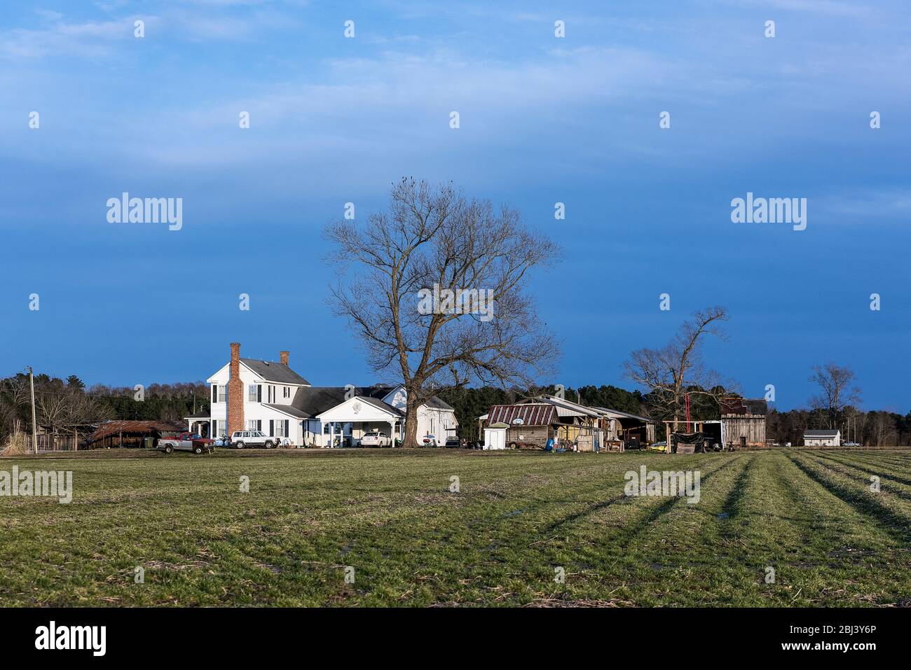 Ferme en Caroline du Nord. Banque D'Images
