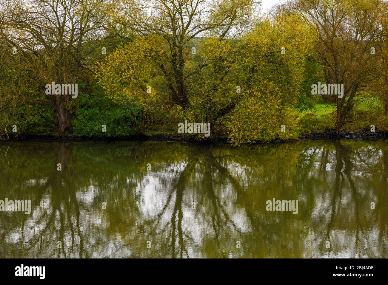 Réflexions dans la rivière Main - réflexion de fin d'automne, près de Kleinheubach, Bavière, Allemagne Banque D'Images