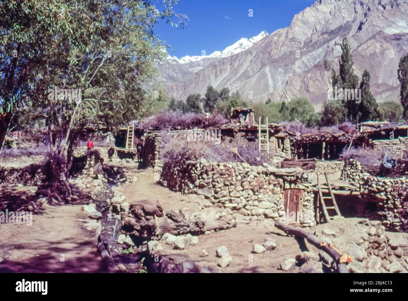 Pakistan, régions du nord des montagnes Karakoram. Scène générale des rues du village d'Askole, le dernier des villages avant les hautes montagnes des Glaciers Baltoro et Biafo Banque D'Images