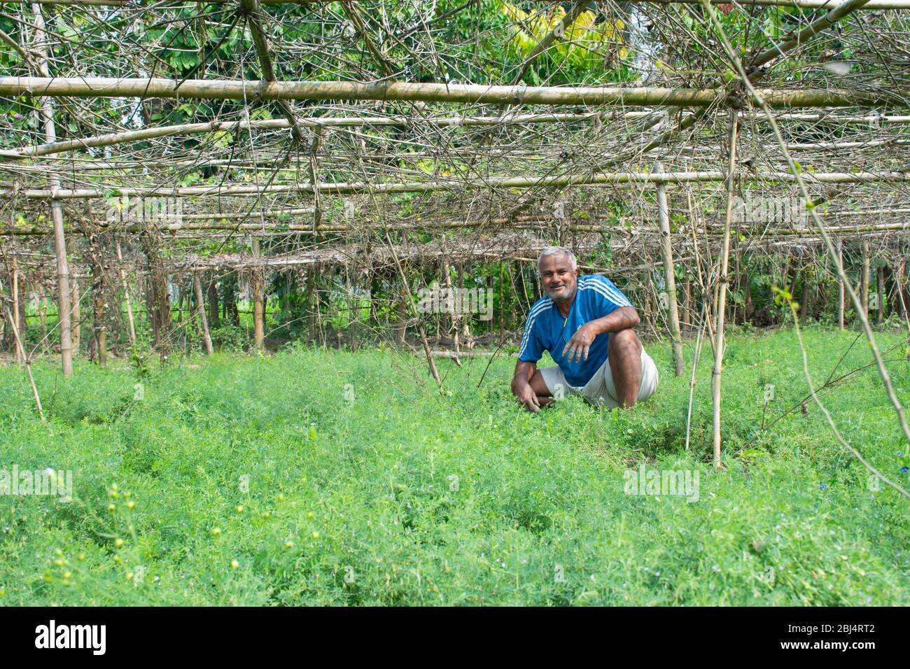 agriculteur indien travaillant sur le terrain Banque D'Images
