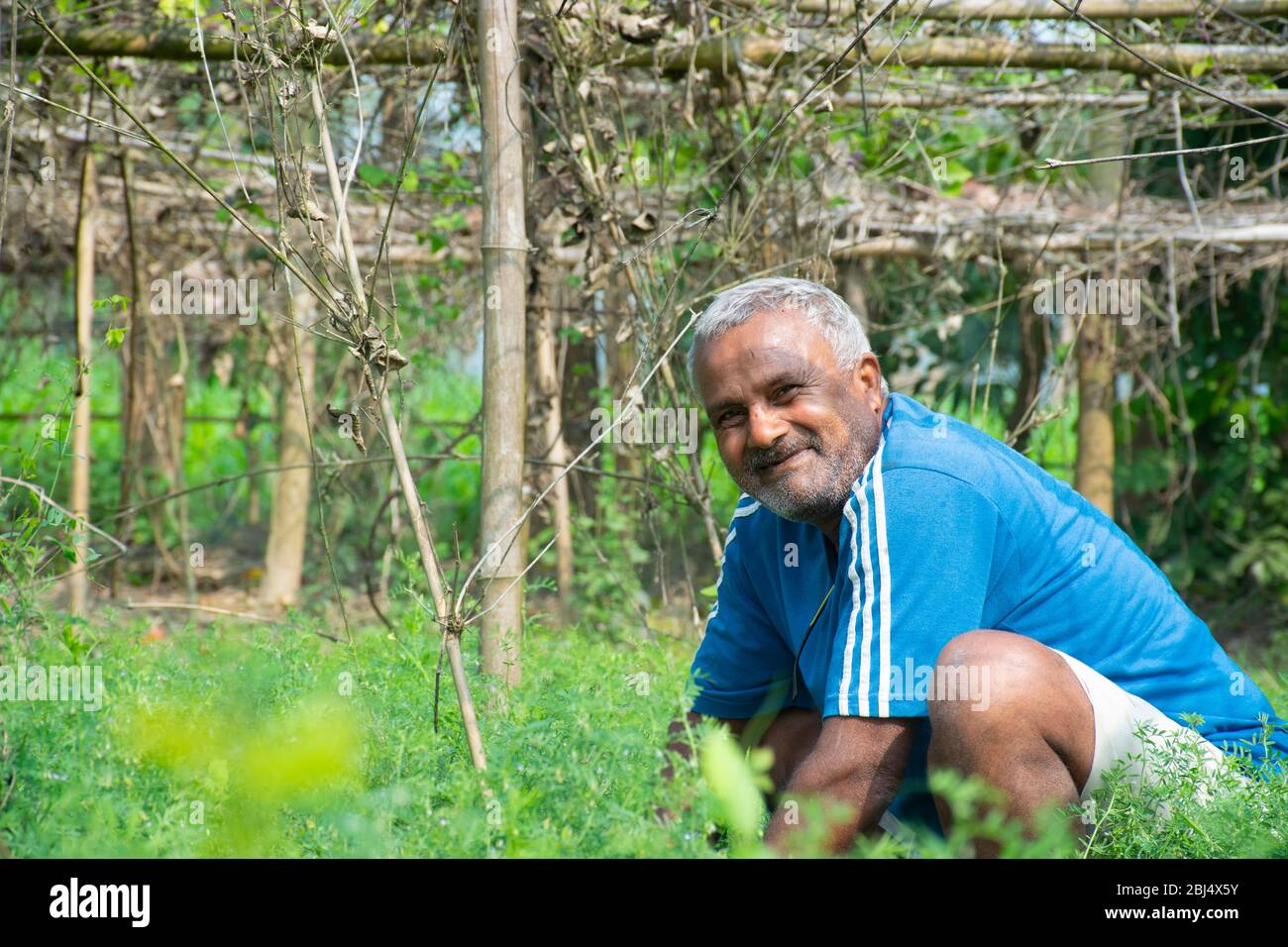 agriculteur indien travaillant sur le terrain Banque D'Images