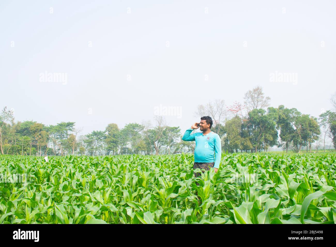 Un agriculteur indien parle sur téléphone mobile dans le domaine de l'agriculture Banque D'Images