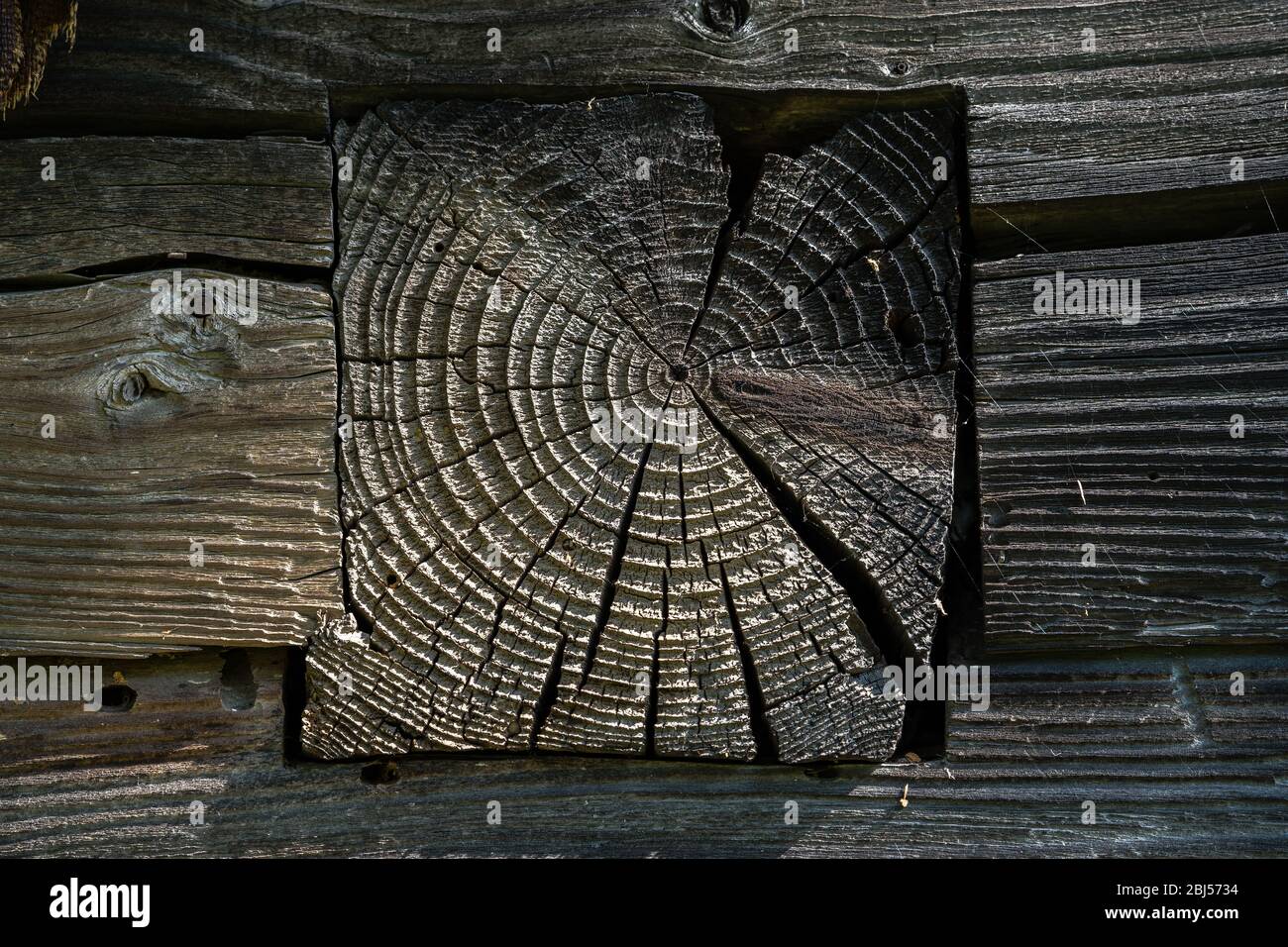 Un fragment du mur d'un ancien bâtiment en bois du village avec la fin d'un bois de houle. La surface endommagée par les précipitations et l'air, rugueuse Banque D'Images