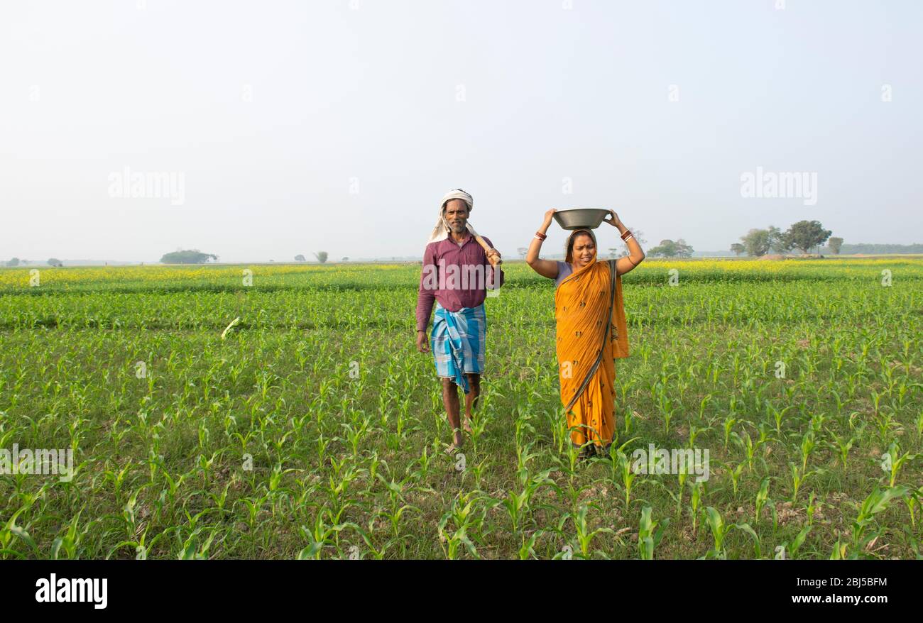 Couple d'agriculteurs indiens travaillant sur le terrain Banque D'Images