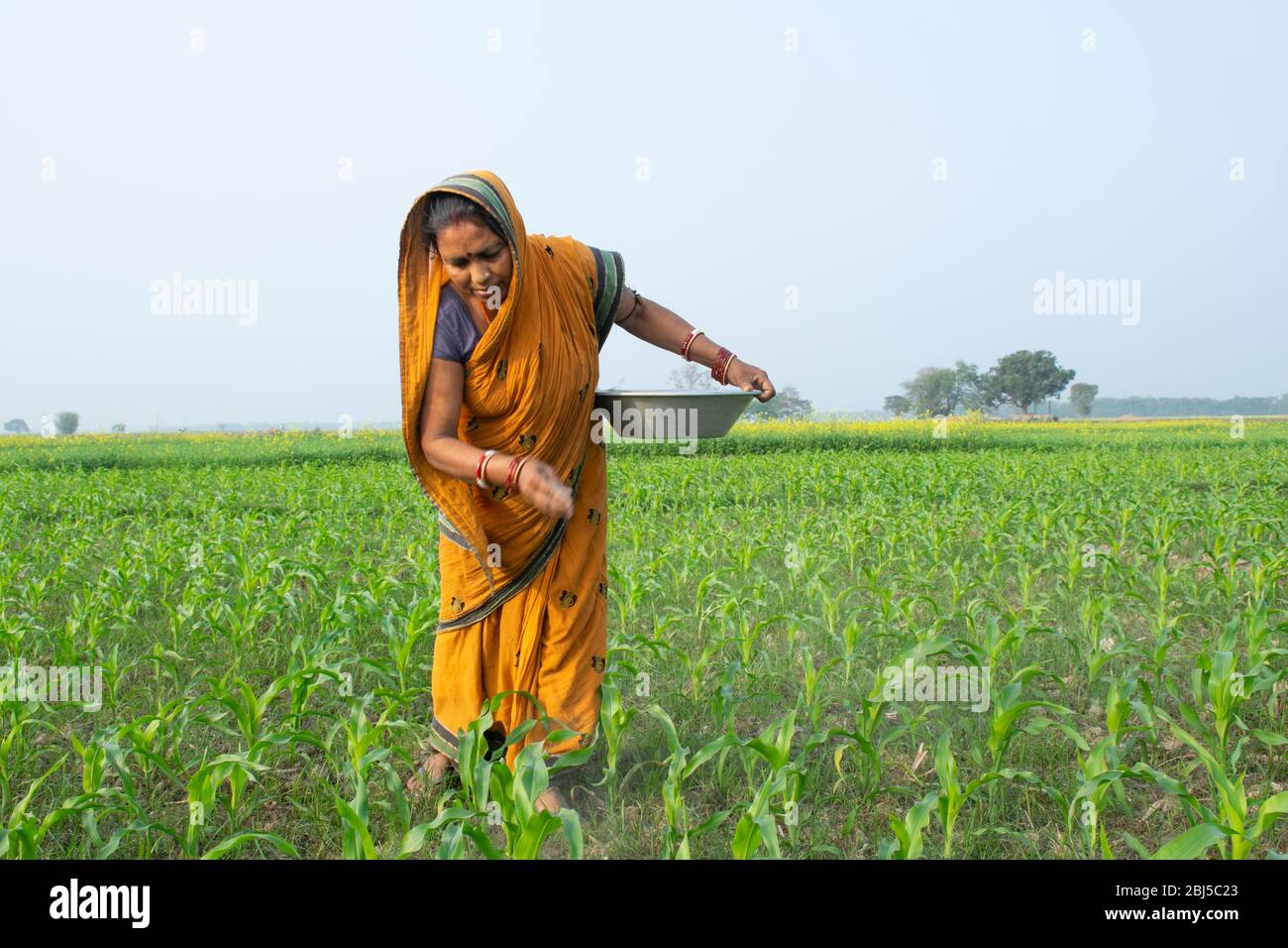 femme indienne agriculteur travaillant dans le domaine agricole Banque D'Images