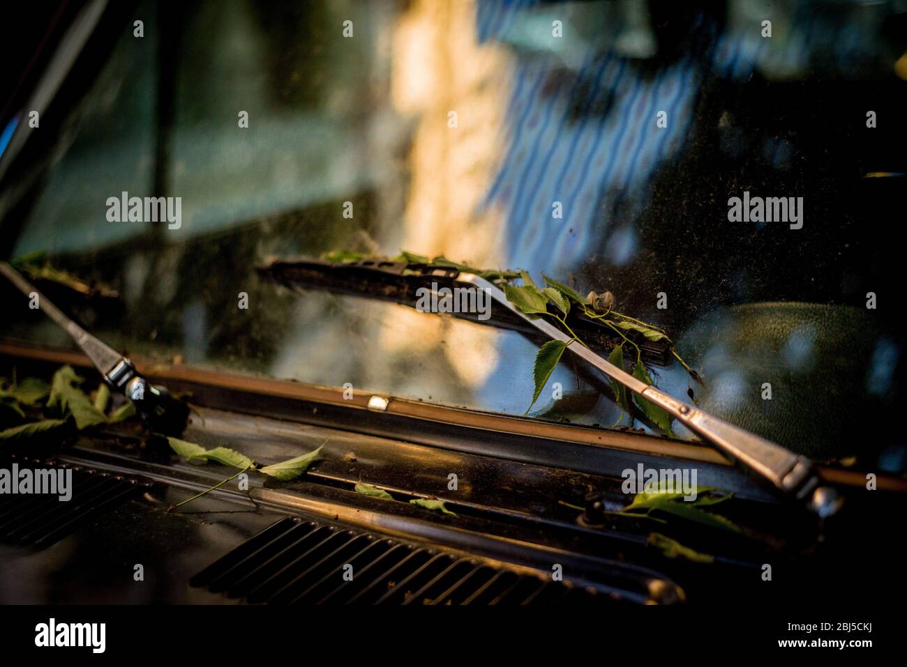 28 avril 2020, Barcelone, Catalogne, Espagne - les feuilles d'arbre s'accumulent sur le pare-brise d'une voiture garée dans le quartier Eixample de Barcelone après 6 semaines de verrouillage du coronavirus . Le Premier ministre espagnol a annoncé que les mesures de désescalade du verrouillage du coronavirus dureront de six à huit semaines. Credit:Jordi Boixaeu/Alay Live News Banque D'Images