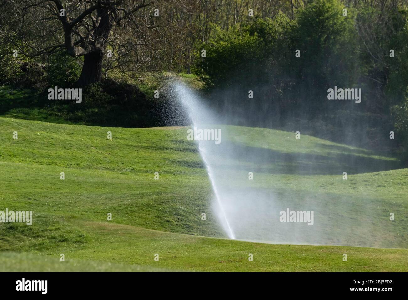 Un système d'irrigation arrosant un parcours de golf. Banque D'Images