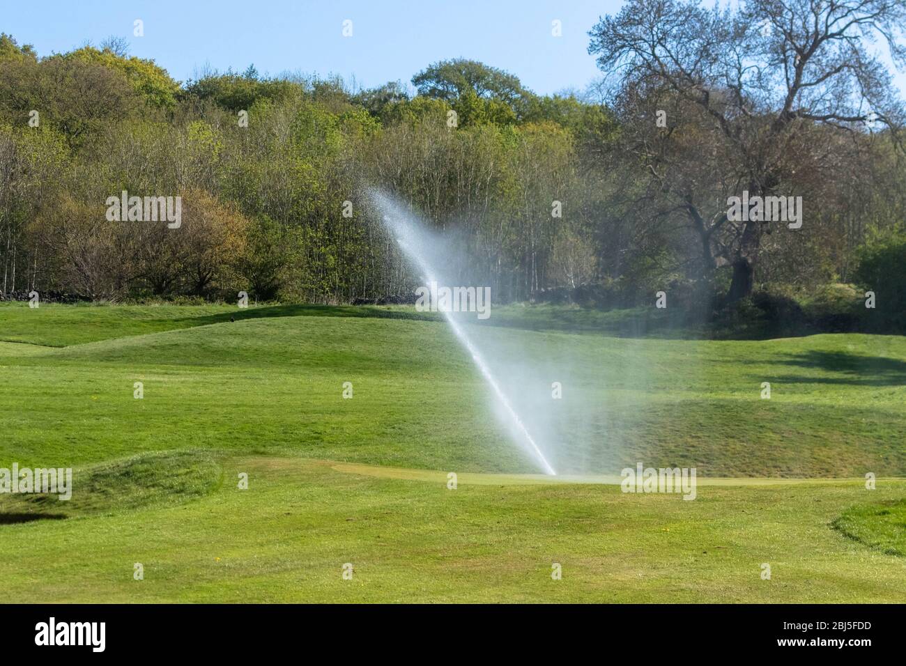 Un système d'irrigation arrosant un parcours de golf. Banque D'Images