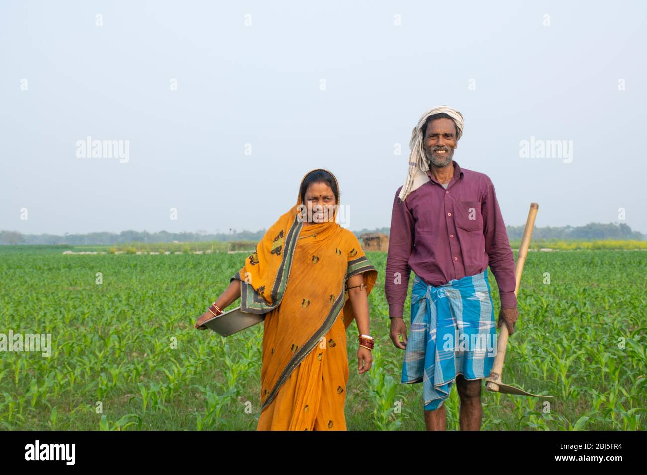 Couple d'agriculteurs indiens travaillant sur le terrain Banque D'Images