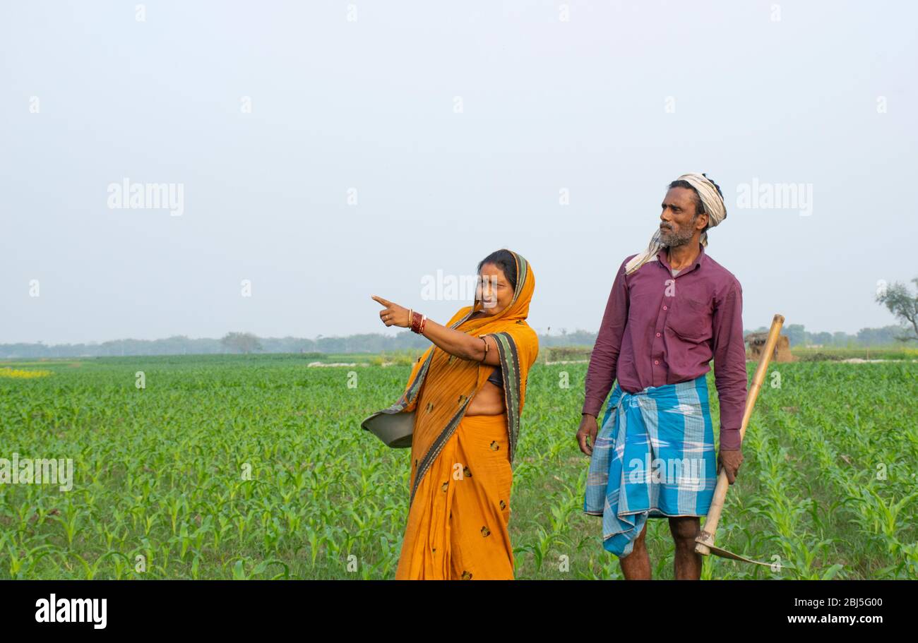 Couple d'agriculteurs indiens travaillant sur le terrain Banque D'Images