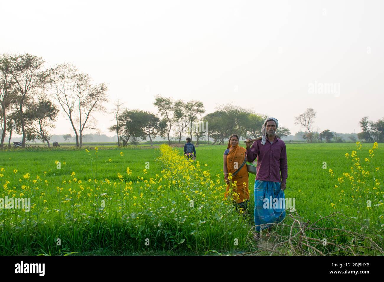 famille de fermiers indiens sur le terrain Banque D'Images