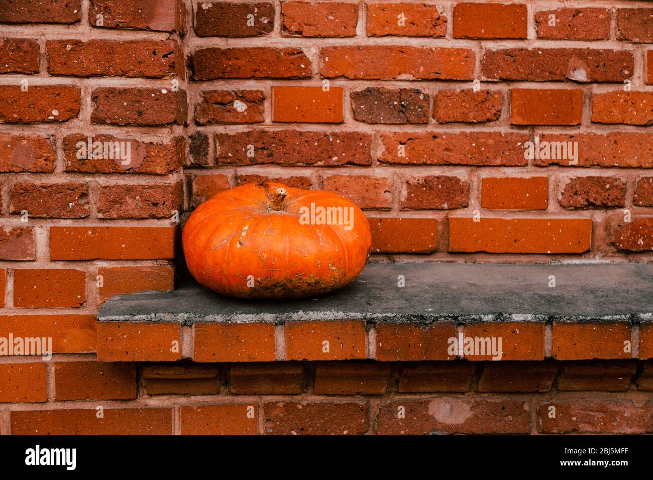 Citrouille orange sur un seuil de fenêtre d'un bâtiment en brique, Lodz, Pologne Banque D'Images