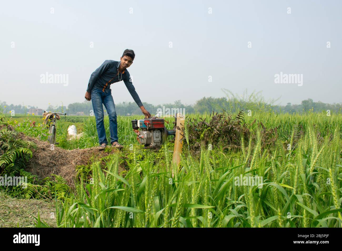 Jeunes garçons travaillant sur le terrain, Inde Banque D'Images